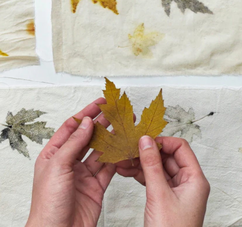Exploring the Art and Science of Eco Printing